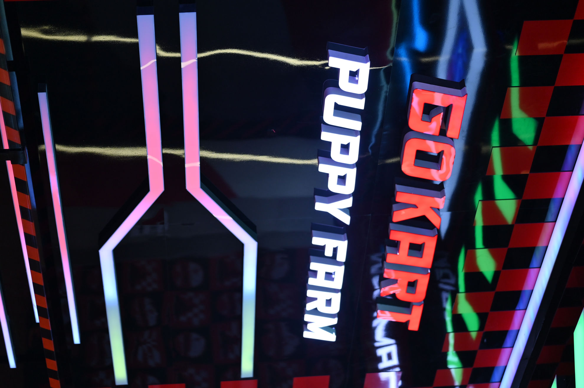 Trò chơi Go Kart – Trải nghiệm tốc độ cực chất vừa ra mắt tại PUPPY FARM !!!